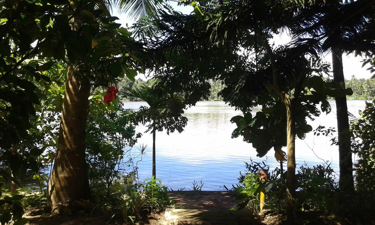 Big Banana Island Retreat 호텔 North Paravur 외부 사진