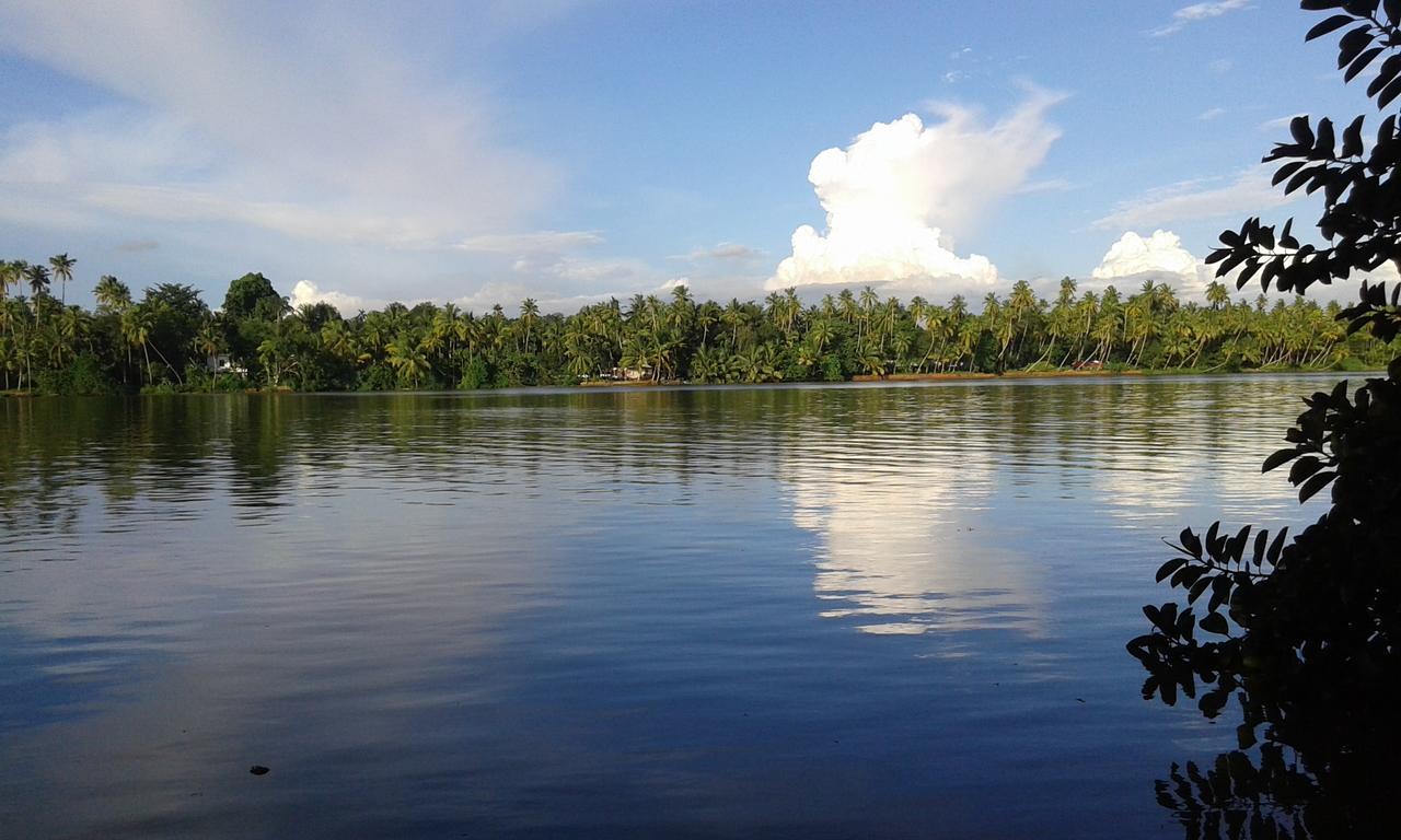 Big Banana Island Retreat 호텔 North Paravur 외부 사진