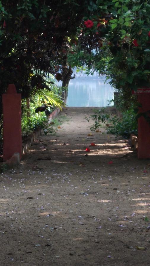 Big Banana Island Retreat 호텔 North Paravur 외부 사진